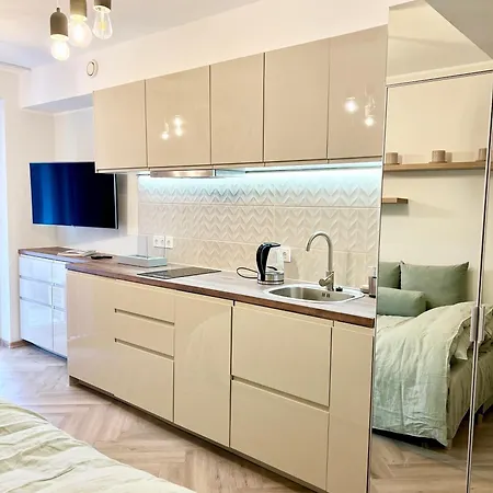 Apartament Modern With Full Kitchen And Bathroom In Kadriorg, Centre