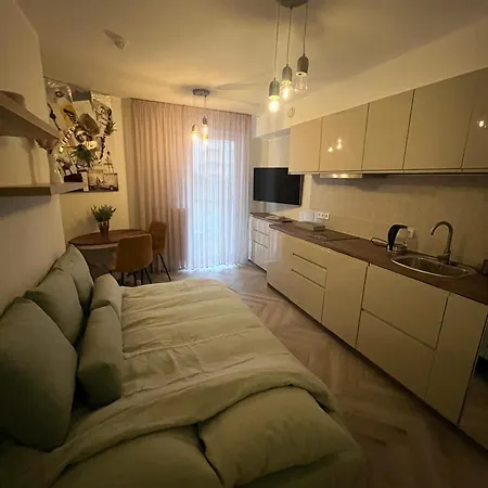 公寓 Modern With Full Kitchen And Bathroom In Kadriorg, Centre *